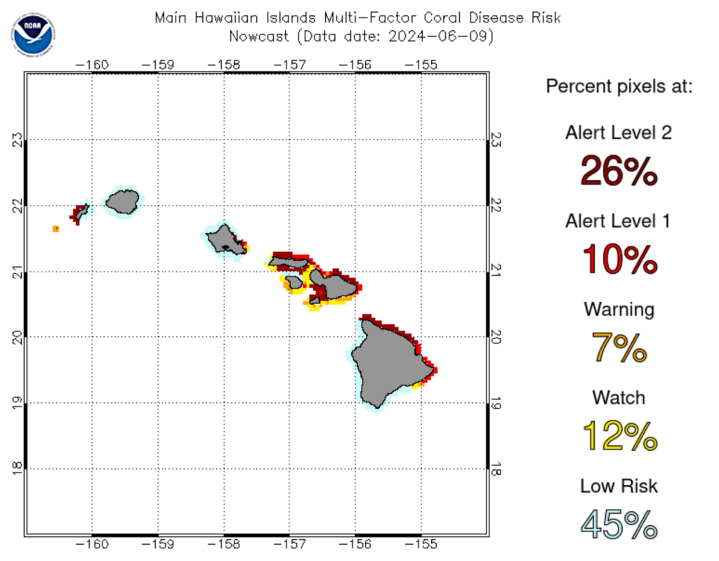 The multi-factor coral disease risk map for the Main Hawaiian Islands on Thursday showed high alert levels around Maui, Niihau and parts of the Big Island. (NOAA/2024)